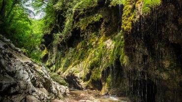 Valle delle Ferriere di Amalfi: bellezza naturale